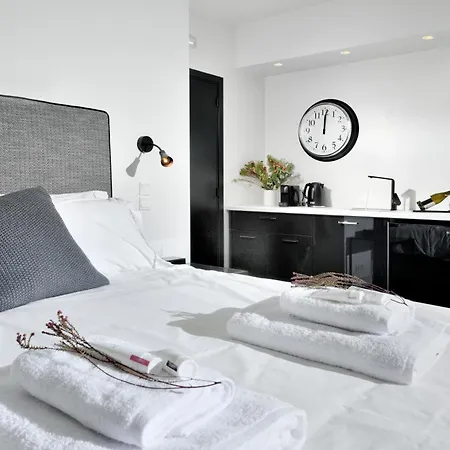 Ater Albus By K&k Apartment *